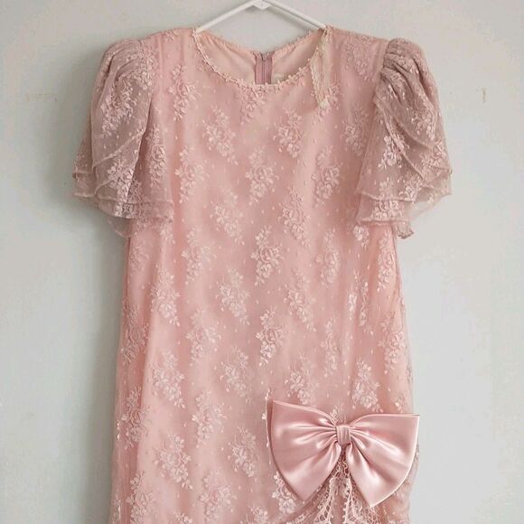 Vtg Barbara Chodos Michael Marcella Dress 12 Pink Floral Lace DropWaist Victoria - Picture 2 of 12